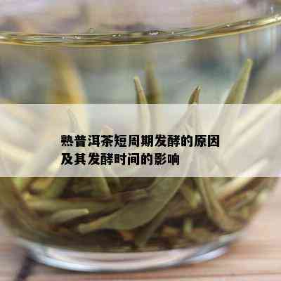 熟普洱茶短周期发酵的原因及其发酵时间的影响