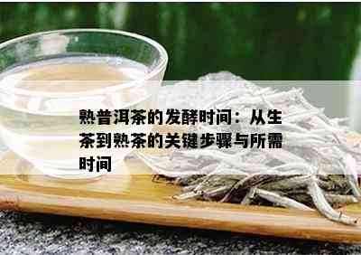 熟普洱茶的发酵时间：从生茶到熟茶的关键步骤与所需时间