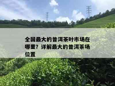 全国更大的普洱茶叶市场在哪里？详解更大的普洱茶场位置