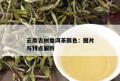 云南古树普洱茶颜色：图片与特点解析