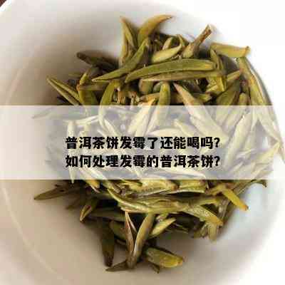 普洱茶饼发霉了还能喝吗？如何处理发霉的普洱茶饼？