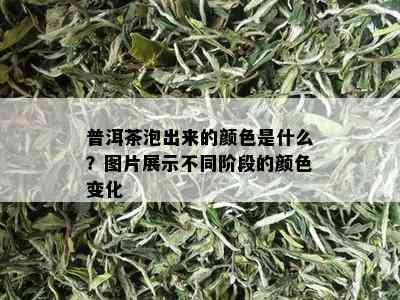 普洱茶泡出来的颜色是什么？图片展示不同阶段的颜色变化