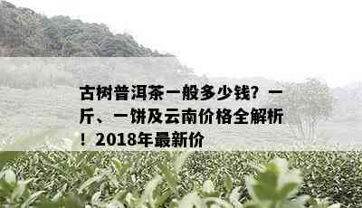 古树普洱茶一般多少钱？一斤、一饼及云南价格全解析！2018年最新价