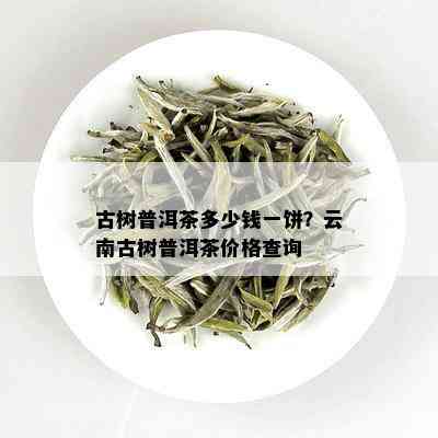 古树普洱茶多少钱一饼？云南古树普洱茶价格查询