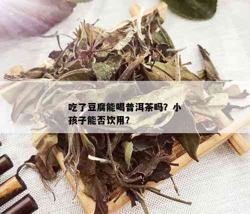 吃了豆腐能喝普洱茶吗？小孩子能否饮用？