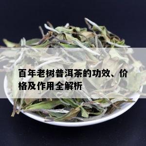 百年老树普洱茶的功效、价格及作用全解析