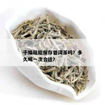 干燥箱能保存普洱茶吗？多久喝一次合适？