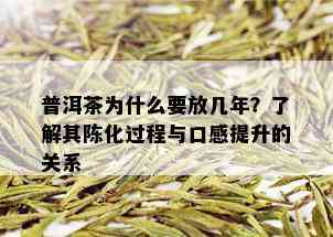 普洱茶为什么要放几年？了解其陈化过程与口感提升的关系