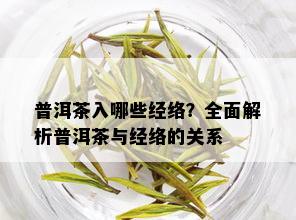 普洱茶入哪些经络？全面解析普洱茶与经络的关系