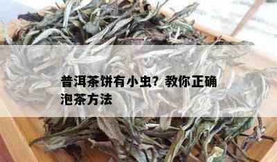 普洱茶饼有小虫？教你正确泡茶方法