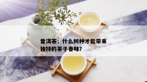 普洱茶：什么树种才能带来独特的茶子香味？