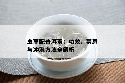 虫草配普洱茶：功效、禁忌与冲泡方法全解析