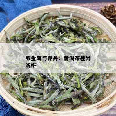 威金斯与乔丹：普洱茶差异解析