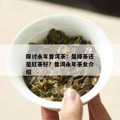 探讨永年普洱茶：是绿茶还是红茶好？普洱永年茶业介绍