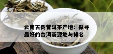 云南古树普洱茶产地：探寻更好的普洱茶源地与排名