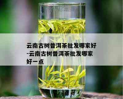 云南古树普洱茶批发哪家好-云南古树普洱茶批发哪家好一点