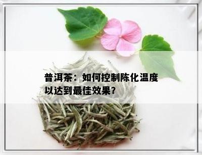 普洱茶：如何控制陈化温度以达到更佳效果？