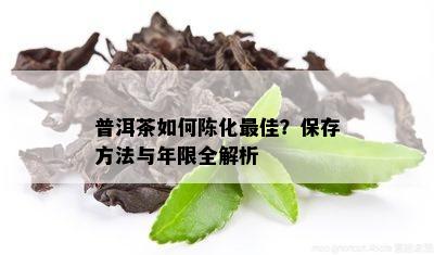 普洱茶如何陈化更佳？保存方法与年限全解析