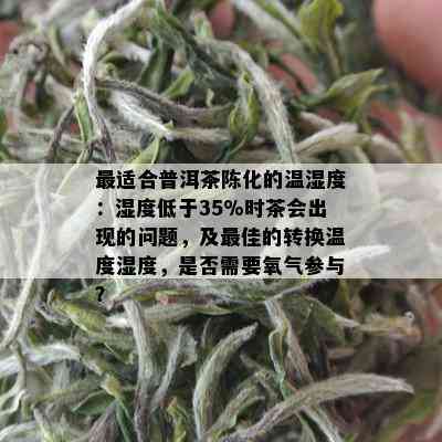 最适合普洱茶陈化的温湿度：湿度低于35%时茶会出现的问题，及更佳的转换温度湿度，是否需要氧气参与？