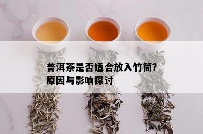 普洱茶是否适合放入竹筒？原因与影响探讨