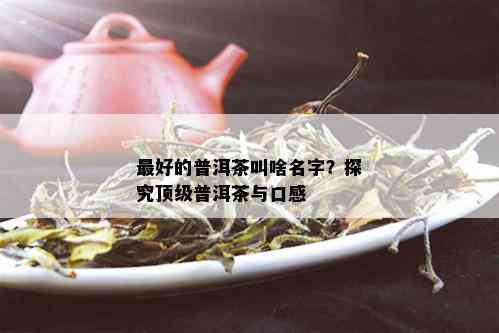 更好的普洱茶叫啥名字？探究顶级普洱茶与口感