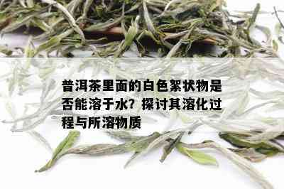 普洱茶里面的白色絮状物是否能溶于水？探讨其溶化过程与所溶物质