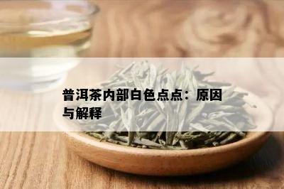 普洱茶内部白色点点：原因与解释