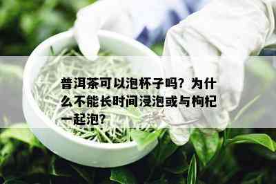 普洱茶可以泡杯子吗？为什么不能长时间浸泡或与枸杞一起泡？