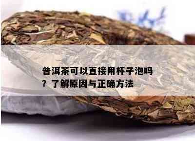 普洱茶可以直接用杯子泡吗？了解原因与正确方法