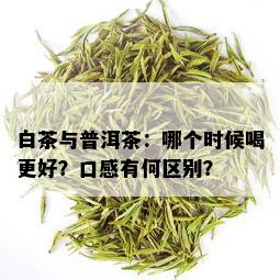 白茶与普洱茶：哪个时候喝更好？口感有何区别？