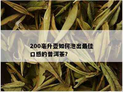 200毫升壶如何泡出更佳口感的普洱茶？