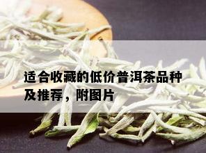 适合收藏的低价普洱茶品种及推荐，附图片