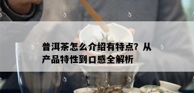 普洱茶怎么介绍有特点？从产品特性到口感全解析