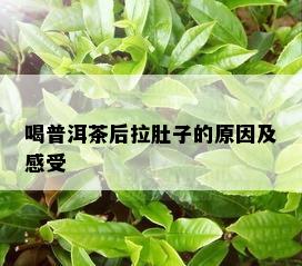 喝普洱茶后拉肚子的原因及感受