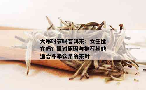 大寒时节喝普洱茶：女生适宜吗？探讨原因与推荐其他适合冬季饮用的茶叶