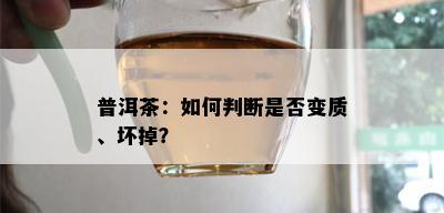 普洱茶：如何判断是否变质、坏掉？