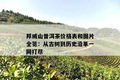 邦威山普洱茶价格表和图片全览：从古树到历史沿革一网打尽