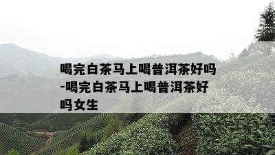 喝完白茶马上喝普洱茶好吗-喝完白茶马上喝普洱茶好吗女生