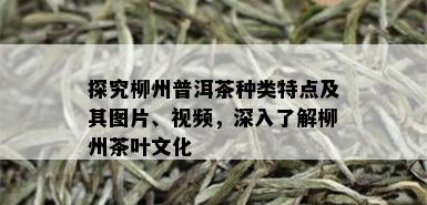 探究柳州普洱茶种类特点及其图片、视频，深入了解柳州茶叶文化