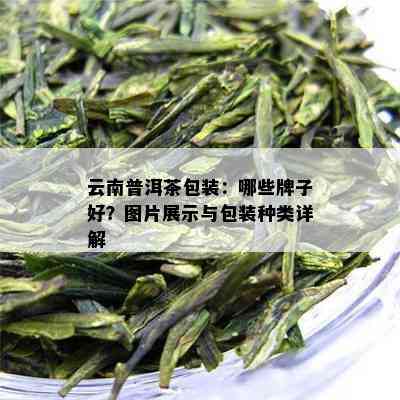 云南普洱茶包装：哪些牌子好？图片展示与包装种类详解