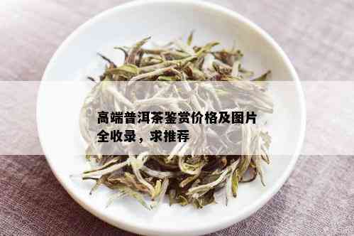 高端普洱茶鉴赏价格及图片全收录，求推荐