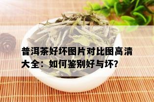 普洱茶好坏图片对比图高清大全：如何鉴别好与坏？