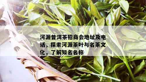 河源普洱茶招商会地址及电话，探索河源茶叶与名茶文化，了解知名名称