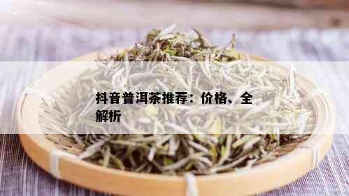 抖音普洱茶推荐：价格、全解析