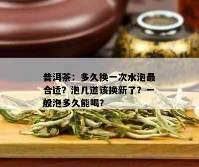 普洱茶：多久换一次水泡最合适？泡几道该换新了？一般泡多久能喝？