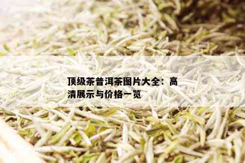 顶级茶普洱茶图片大全：高清展示与价格一览