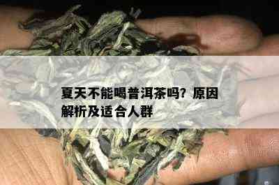 夏天不能喝普洱茶吗？原因解析及适合人群