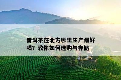 普洱茶在北方哪里生产更好喝？教你如何选购与存储