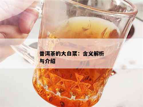 普洱茶的大白菜：含义解析与介绍