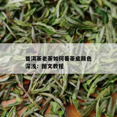 普洱茶老茶如何看茶底颜色深浅：图文教程